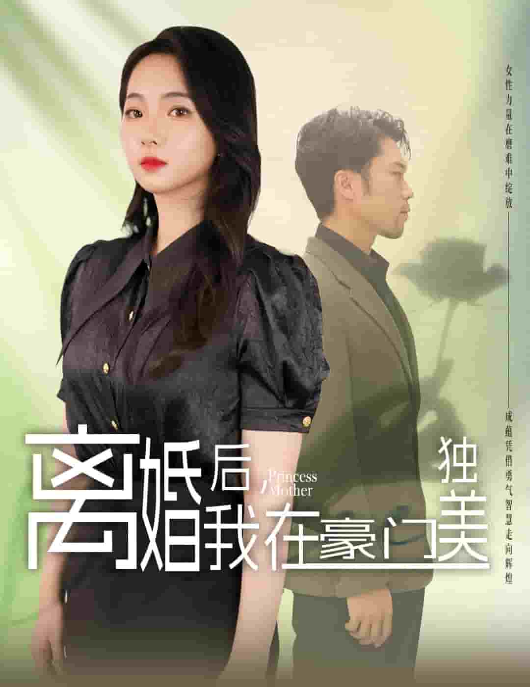 离婚后，我在豪门独美第09集