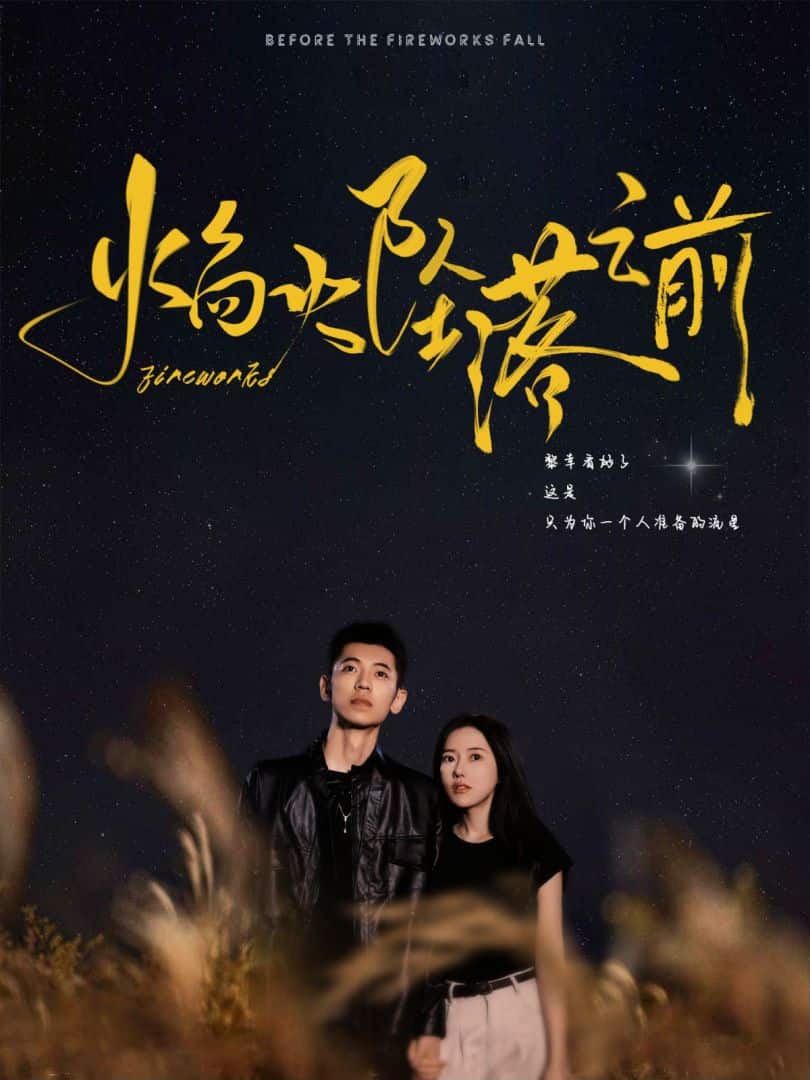 焰火坠落之前第10集