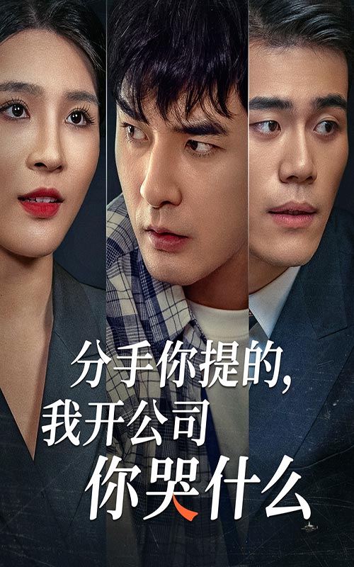 分手你提的，我开公司你哭什么第41集