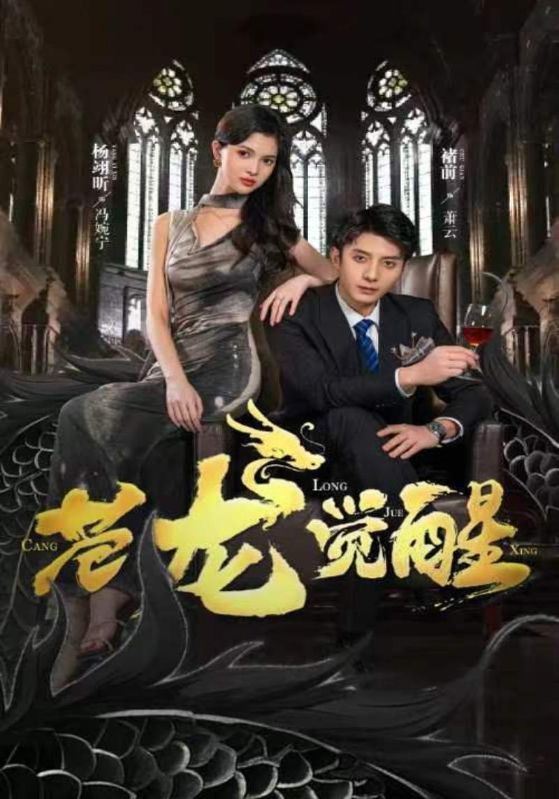 苍龙觉醒第10集