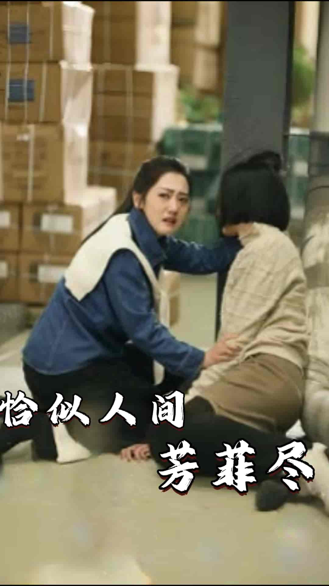 恰似人间芳菲尽第20集