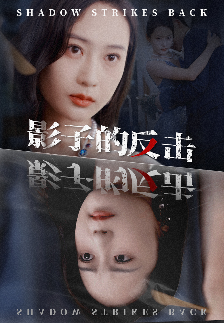 影子的反击第27集