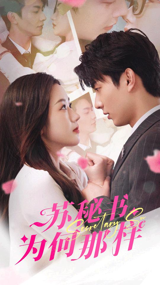 苏秘书为何那样第16集