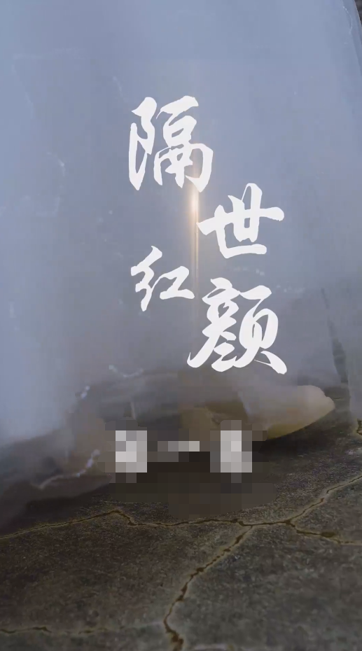 隔世红颜第06集