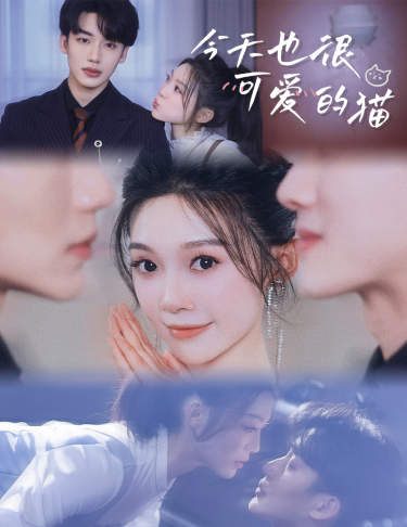 今天也很可爱的猫第05集