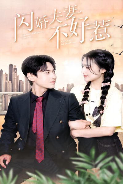 闪婚夫妻不好惹第19集