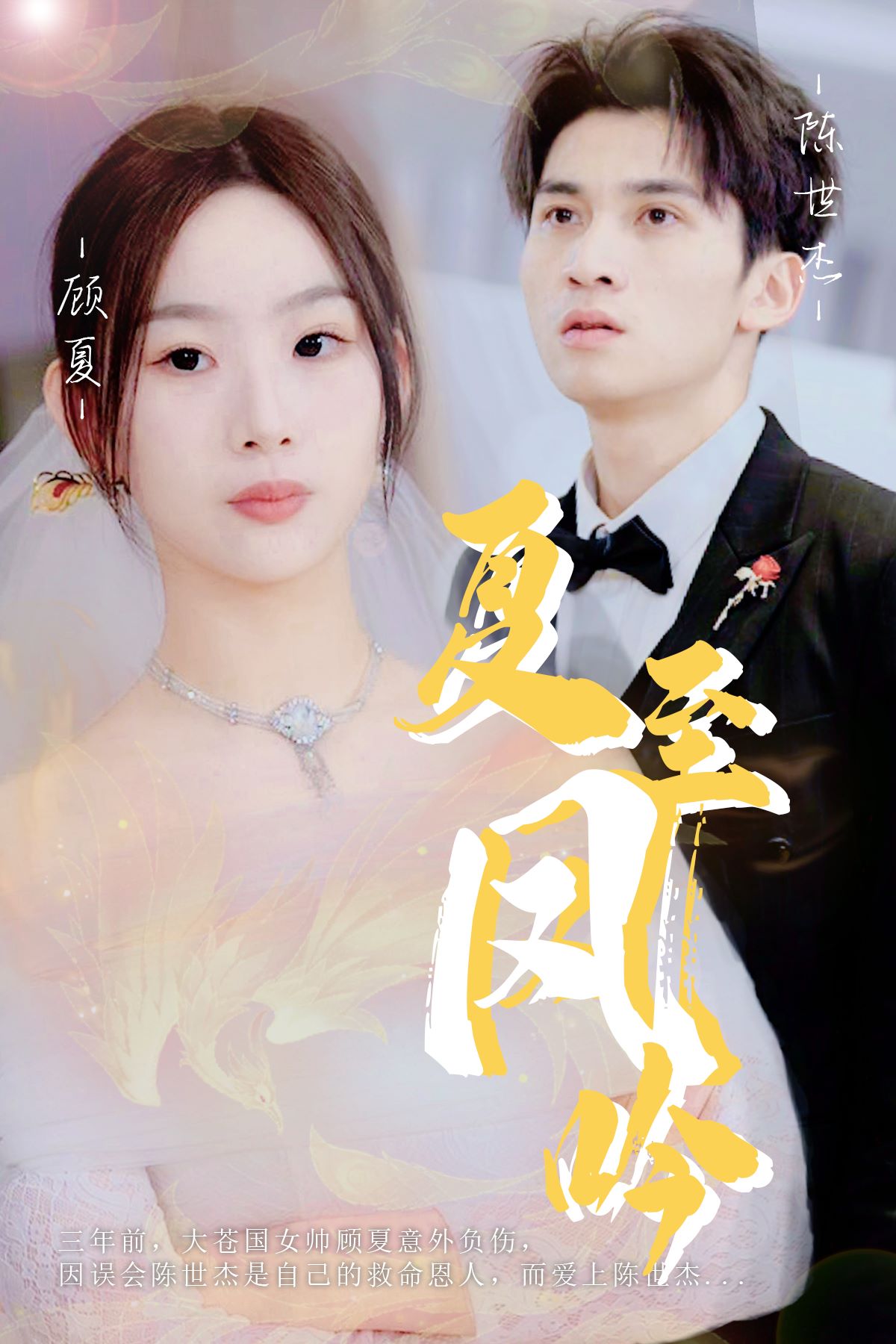 夏至凤吟第41集