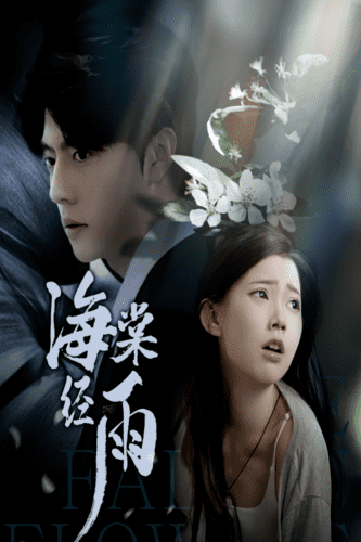 海棠经雨第14集