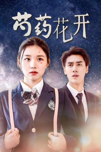 火光中的芍药花第65集