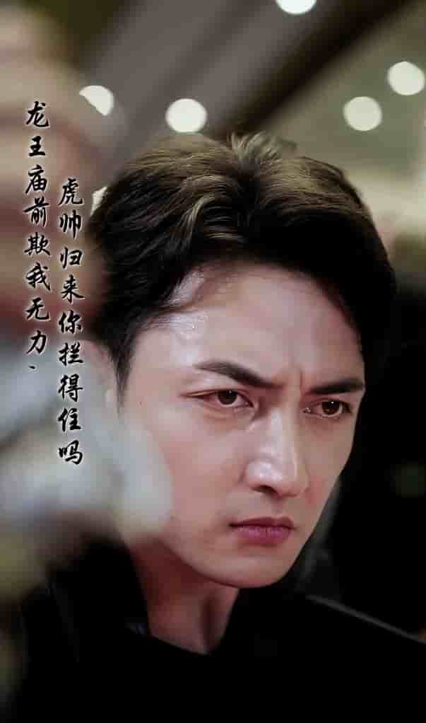 龙王庙前欺我无力，虎帅归来你拦得住吗第46集