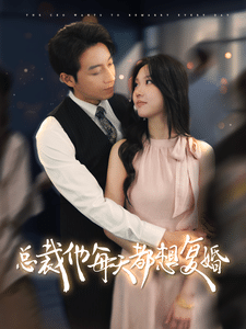 总裁他每天都想复婚第14集