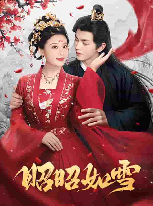 昭昭如雪第40集