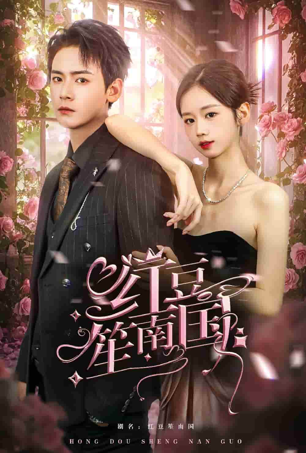 红豆笙南国第23集