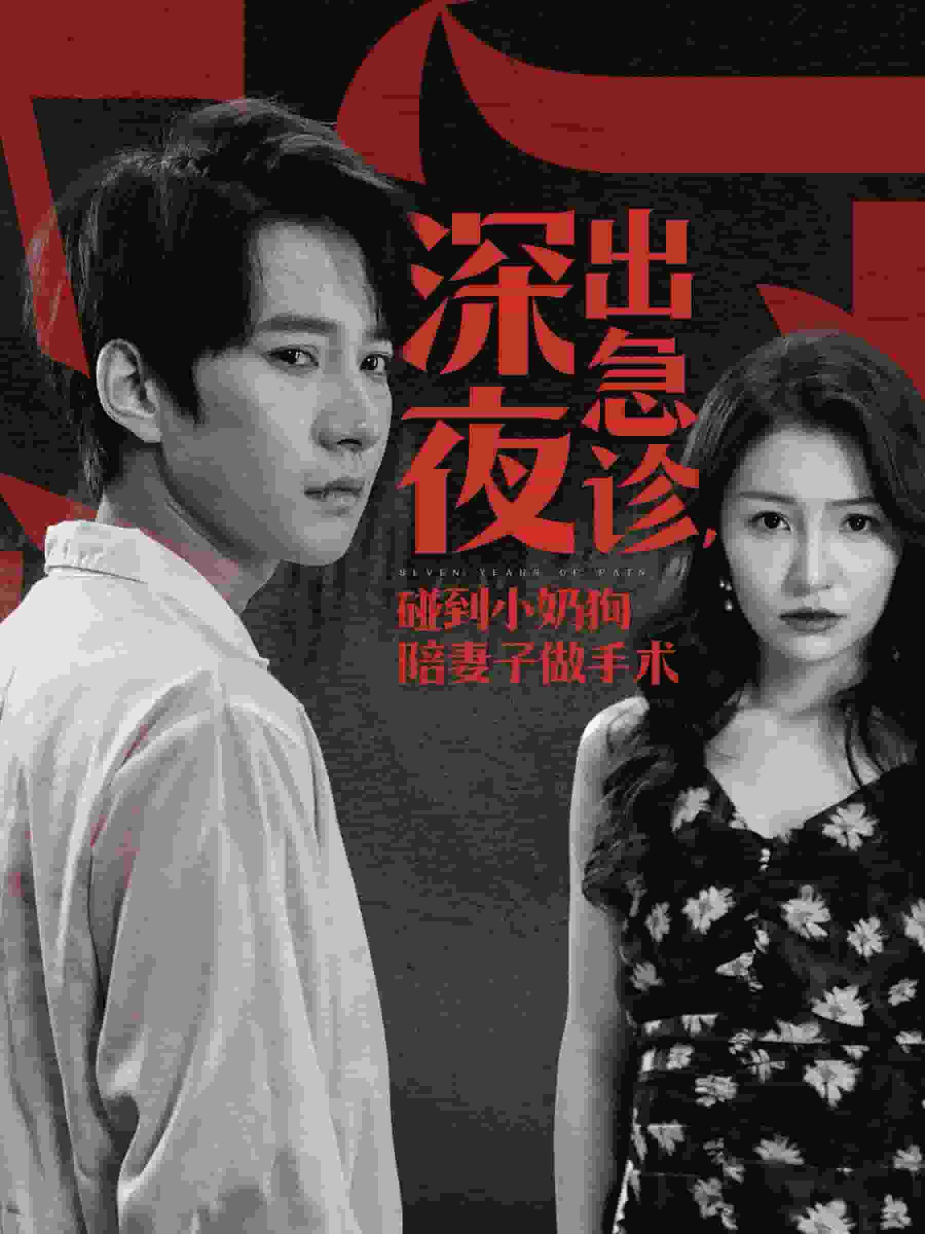 深夜出急诊碰到小奶狗陪妻子做手术第17集