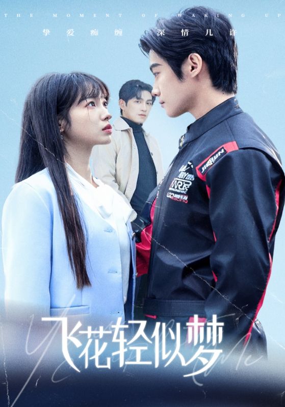 飞花轻似梦第18集