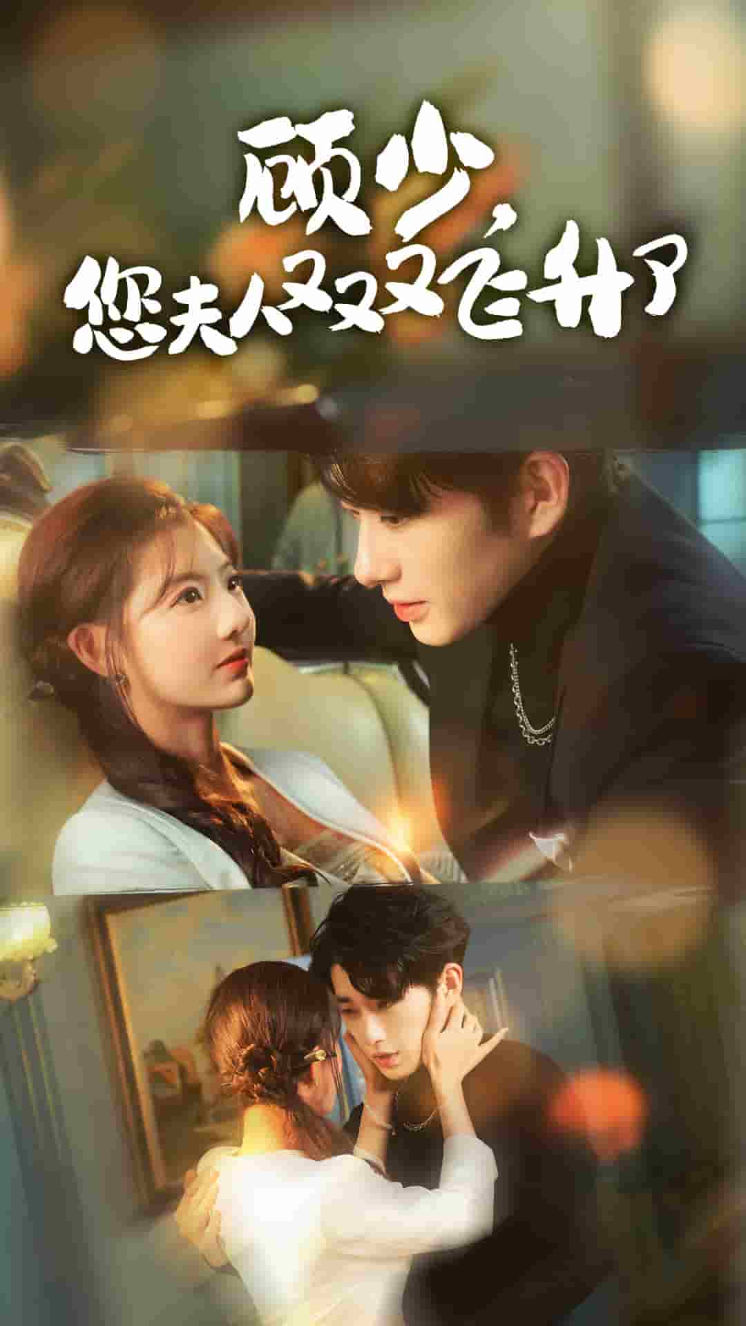 顾少您夫人又又又飞升了第31集