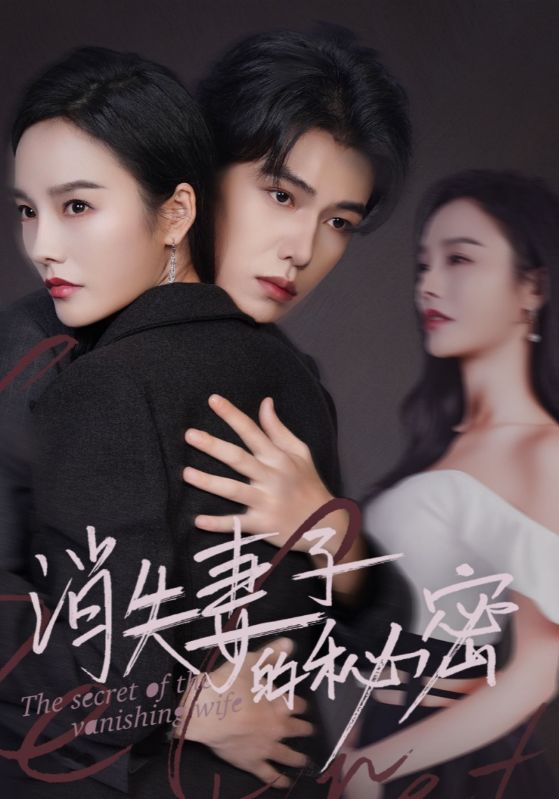 消失妻子的秘密第26集