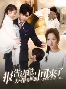 报告唐总夫人带着崽崽回来了第78集