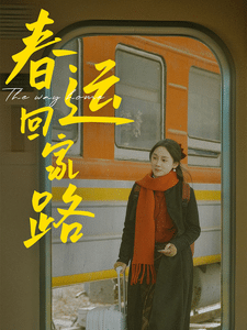 春运回家路第6集