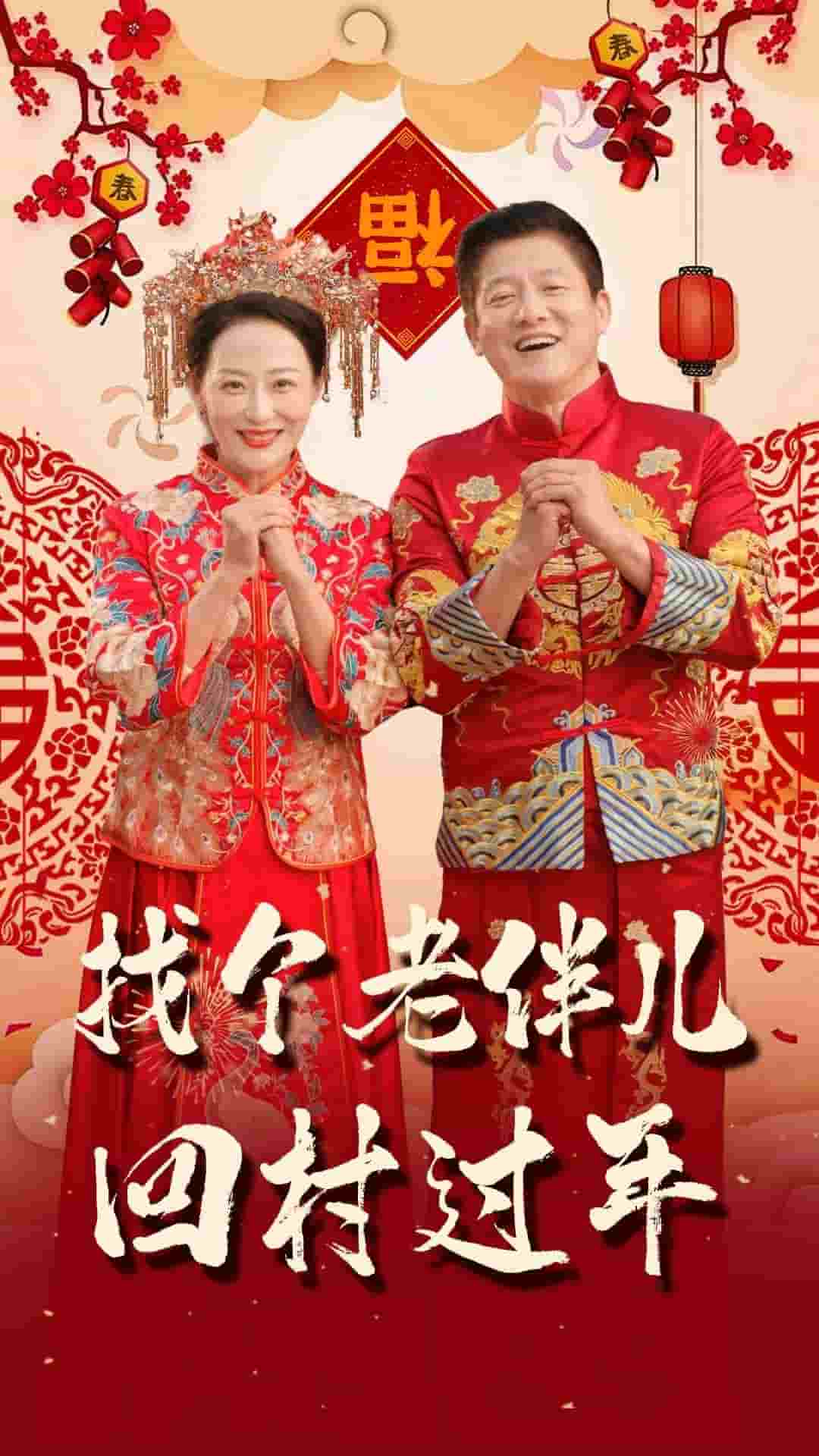 找个老伴儿回村过年第2集