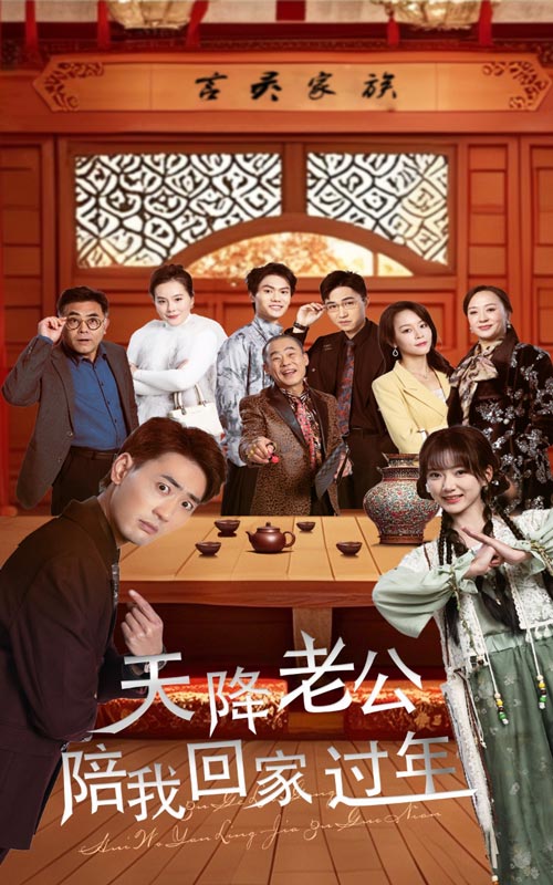 天降老公陪我回家过年第15集