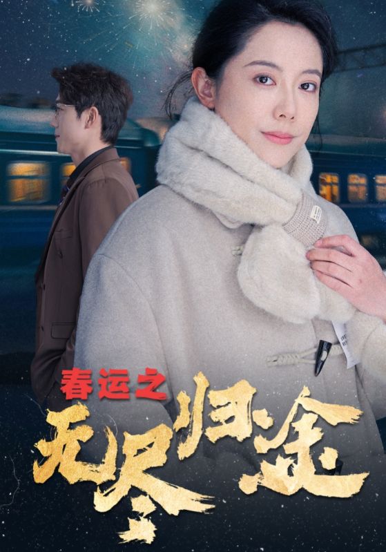 春运之无尽归途第19集