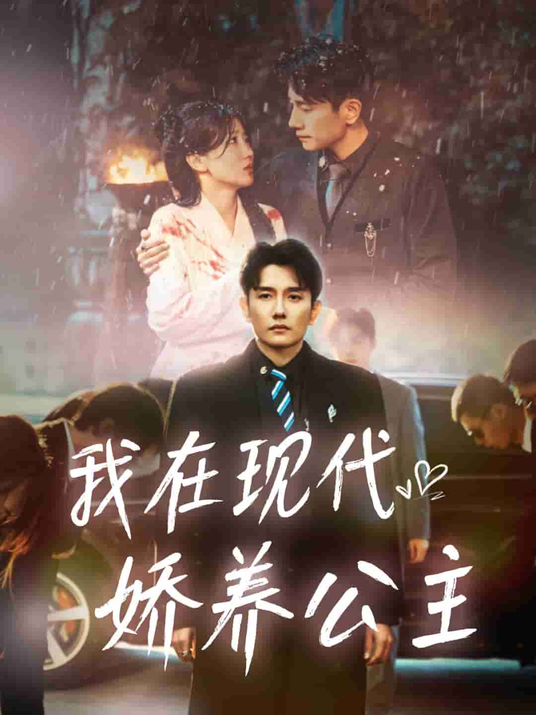 我在现代娇养公主第25集