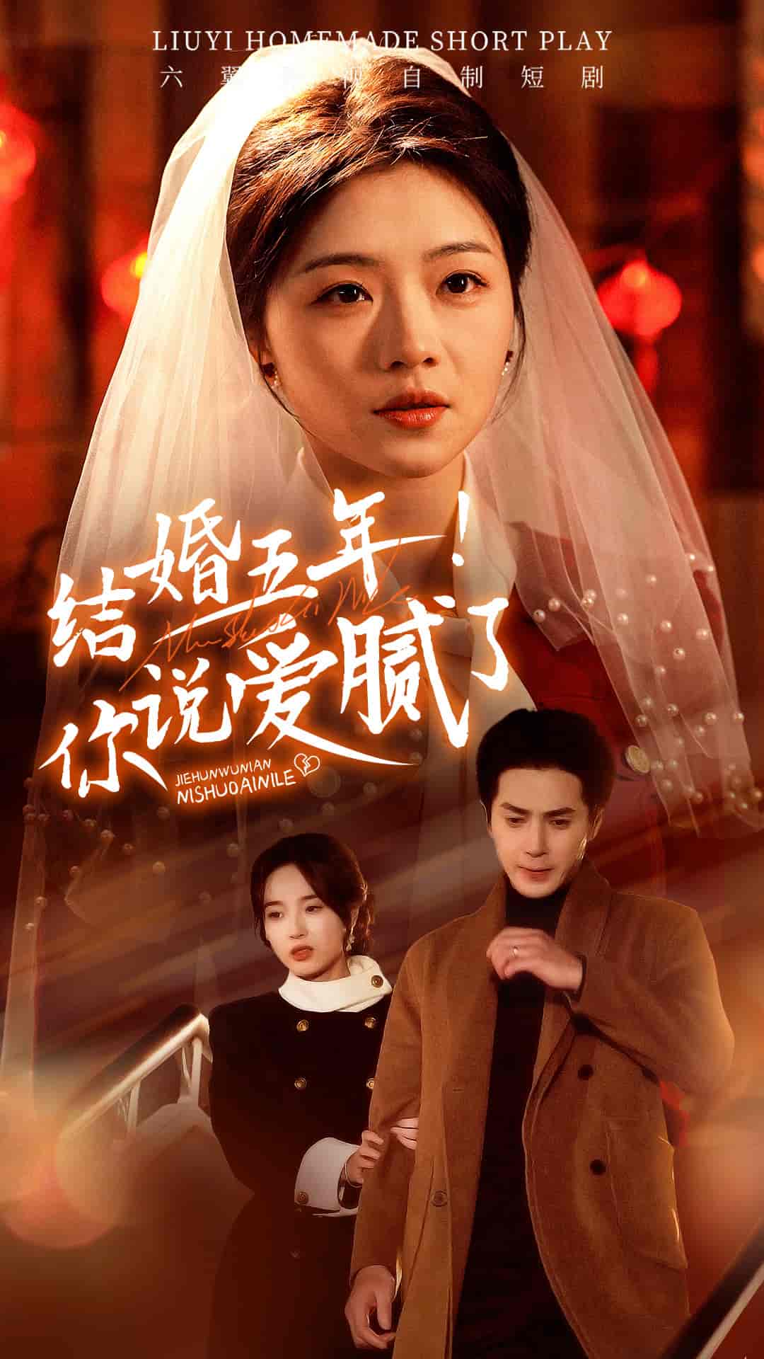 结婚五年你说爱腻了第17集