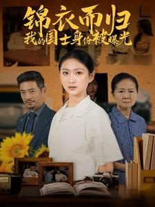 锦衣而归我的国士身份被曝光第53集