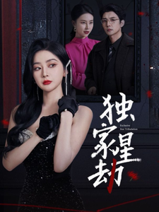 独家星劫第13集