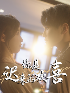 你是迟来的欢喜第37集