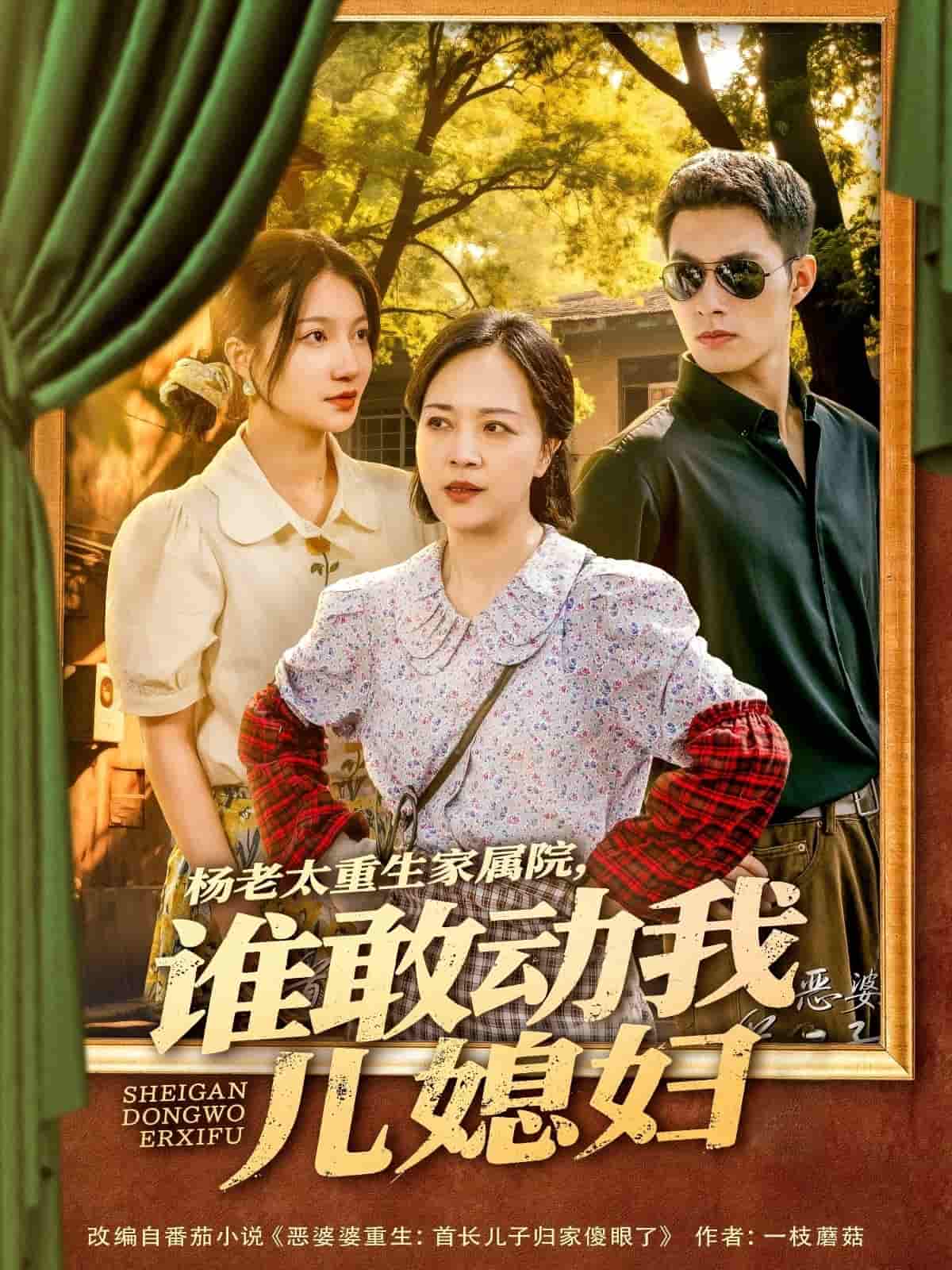 杨老太重生家属院，谁敢动我儿媳妇(全集)