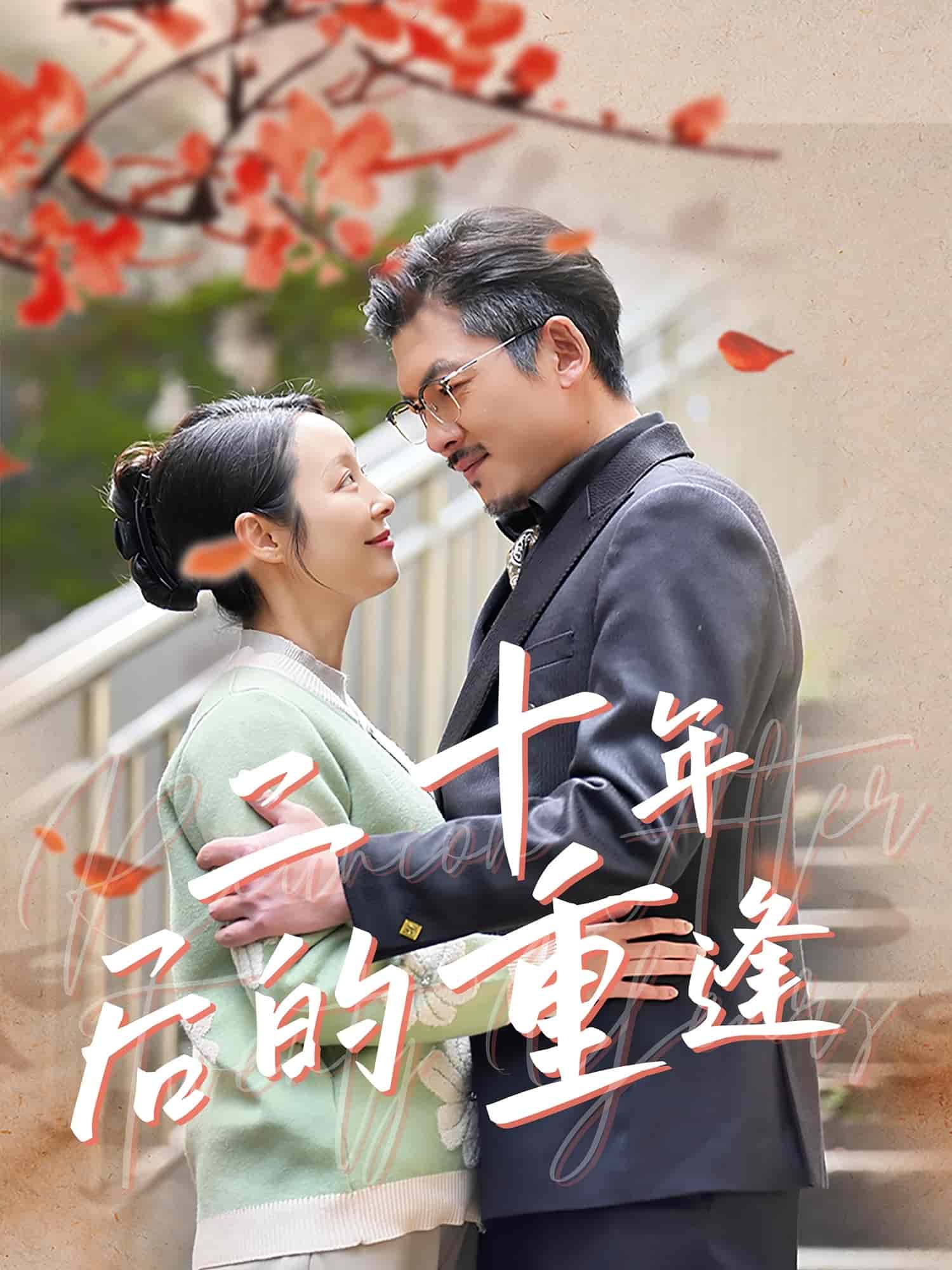 二十年后的重逢(全集)